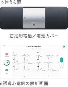 製品うら面　6誘導心電図の解析画面イメージ